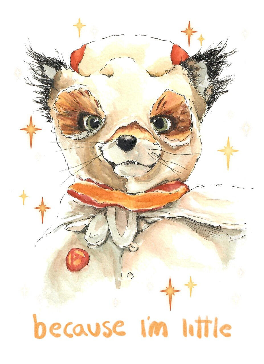Ash - Fantastic Mr Fox