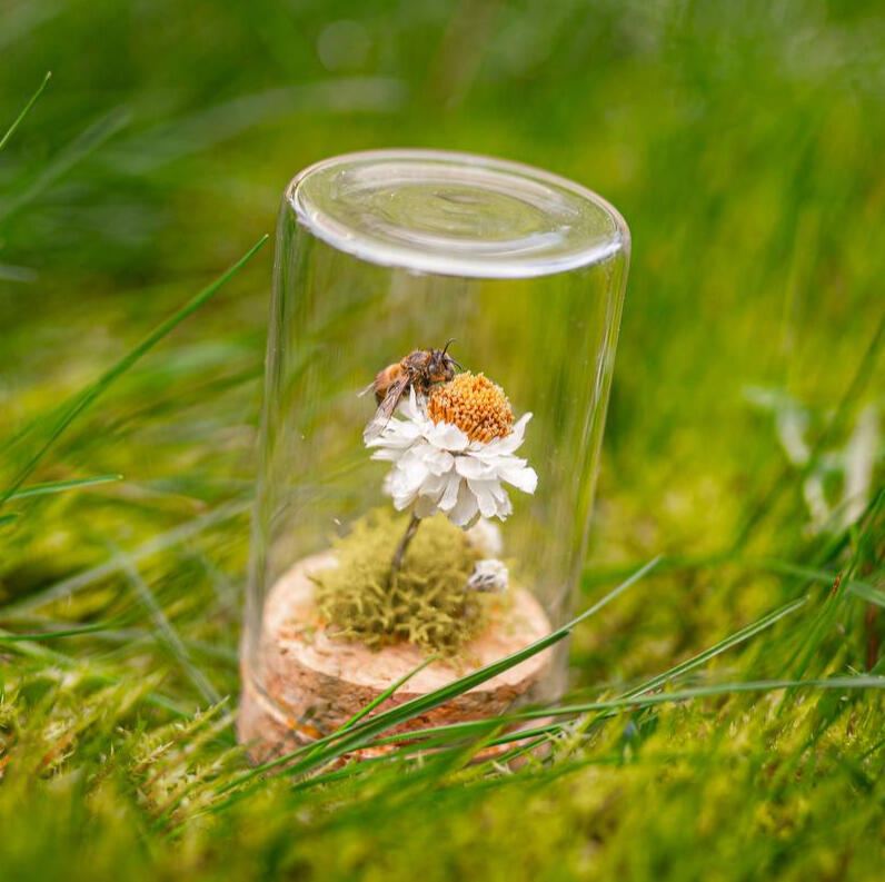 Mini Bee