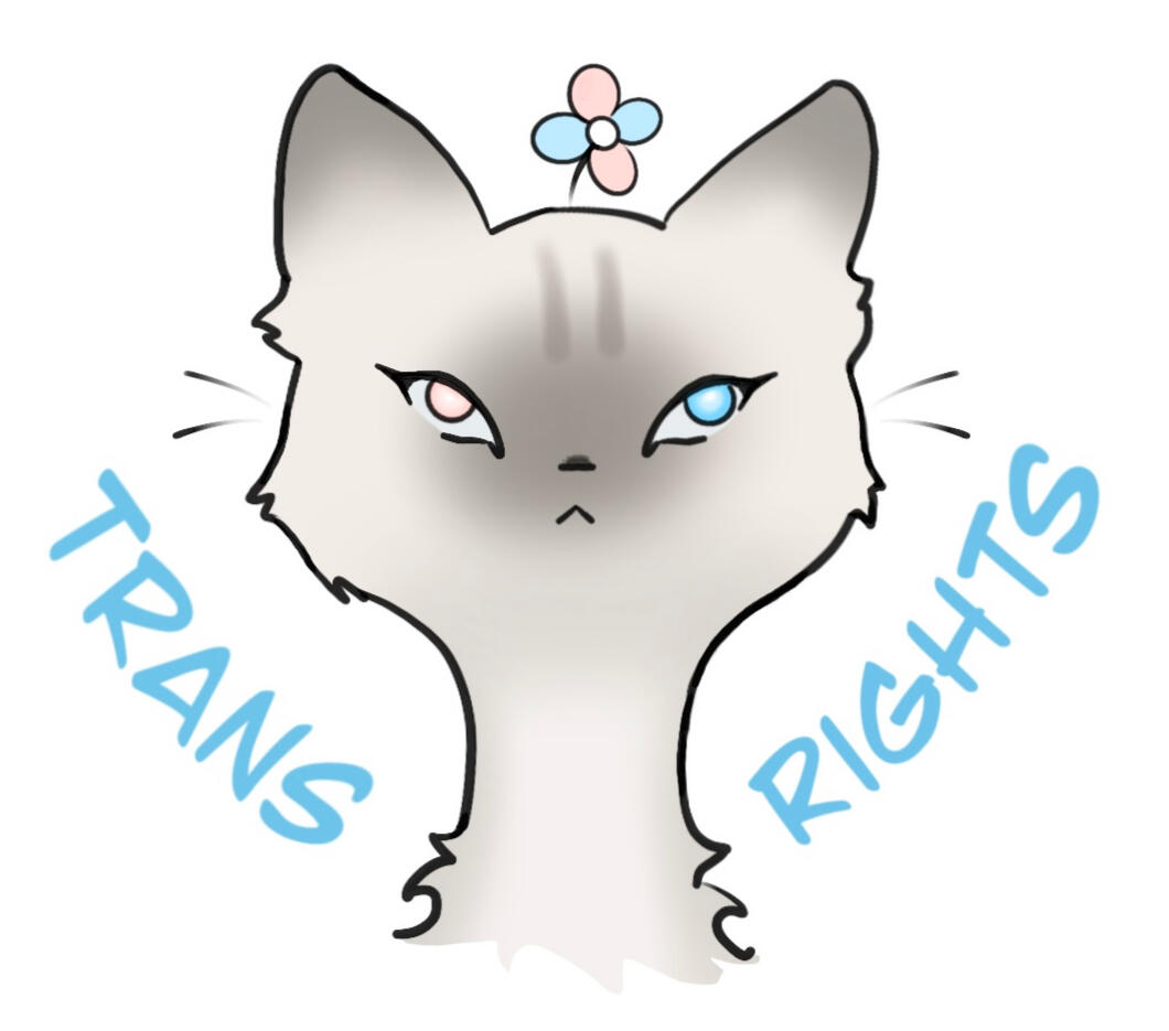 Trans Rights Cat
