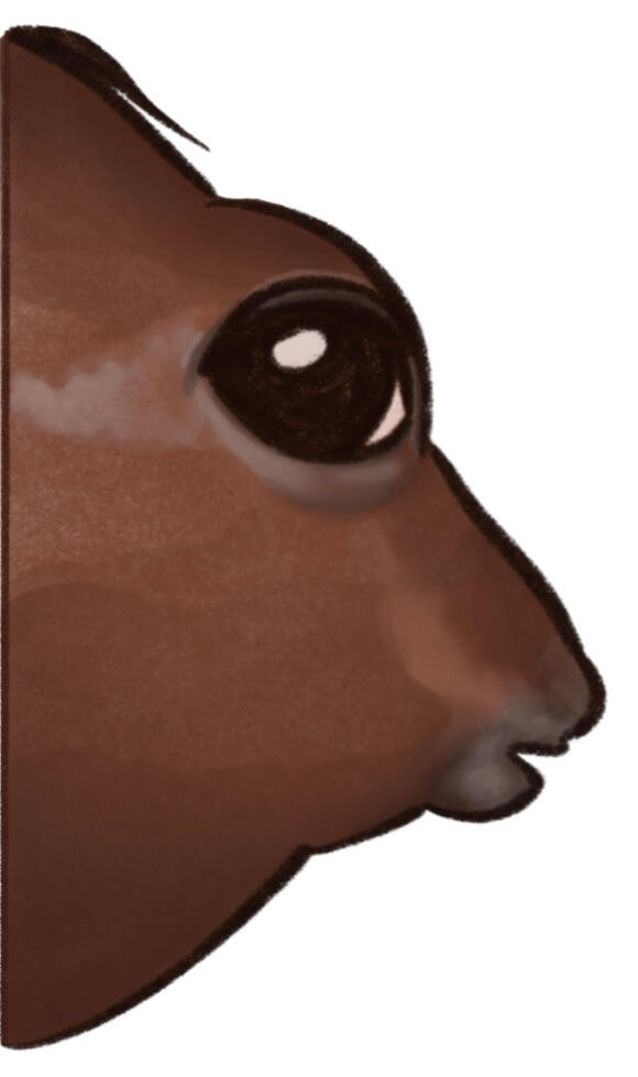 Horse Meme